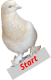 Start