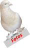 Fotos