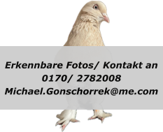 Erkennbare Fotos/ Kontakt an 0170/ 2782008 Michael.Gonschorrek@me.com