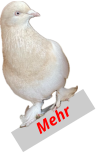 Mehr